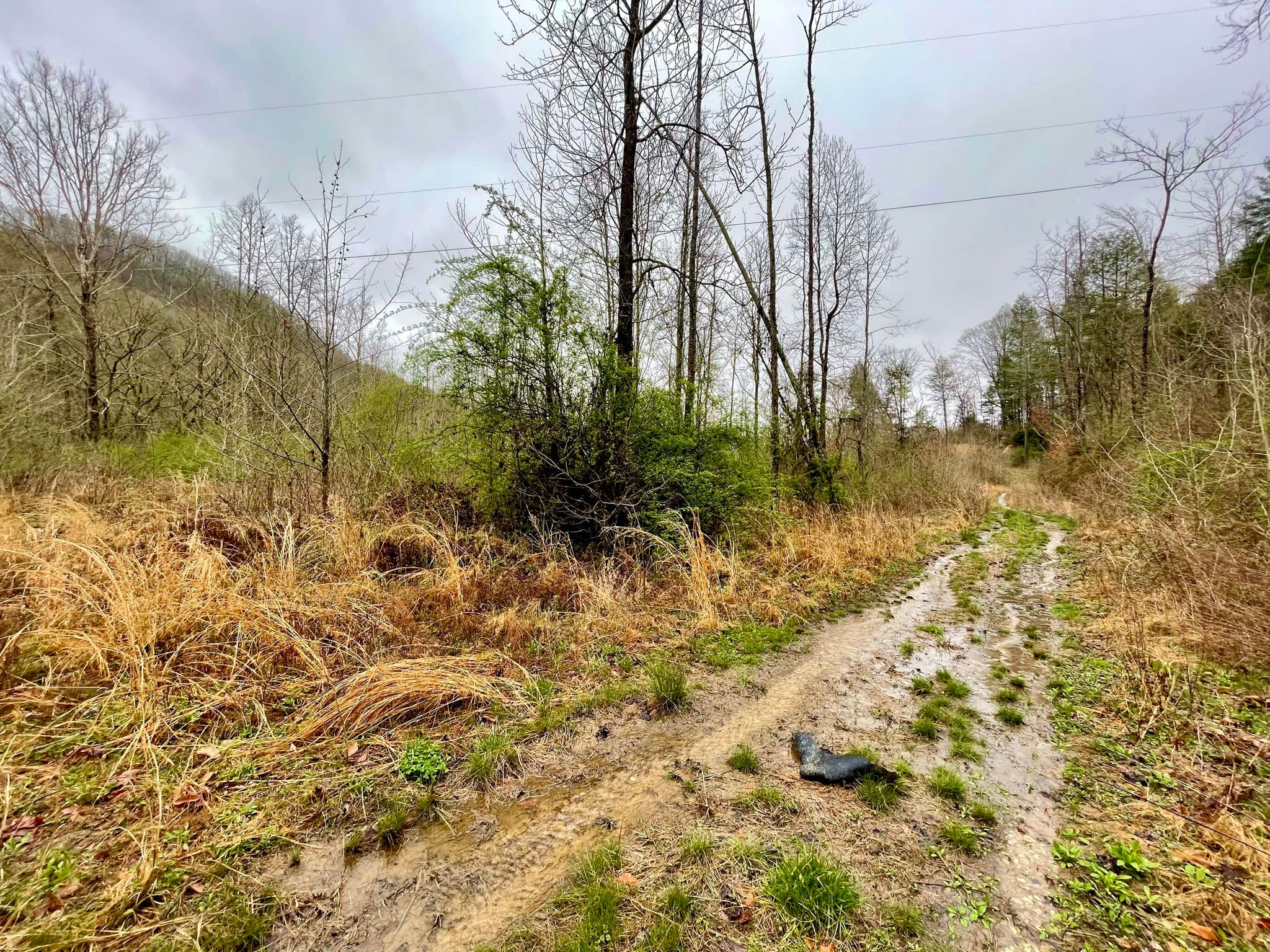 Camper submitted image from Windrock Ridge Campground - 2