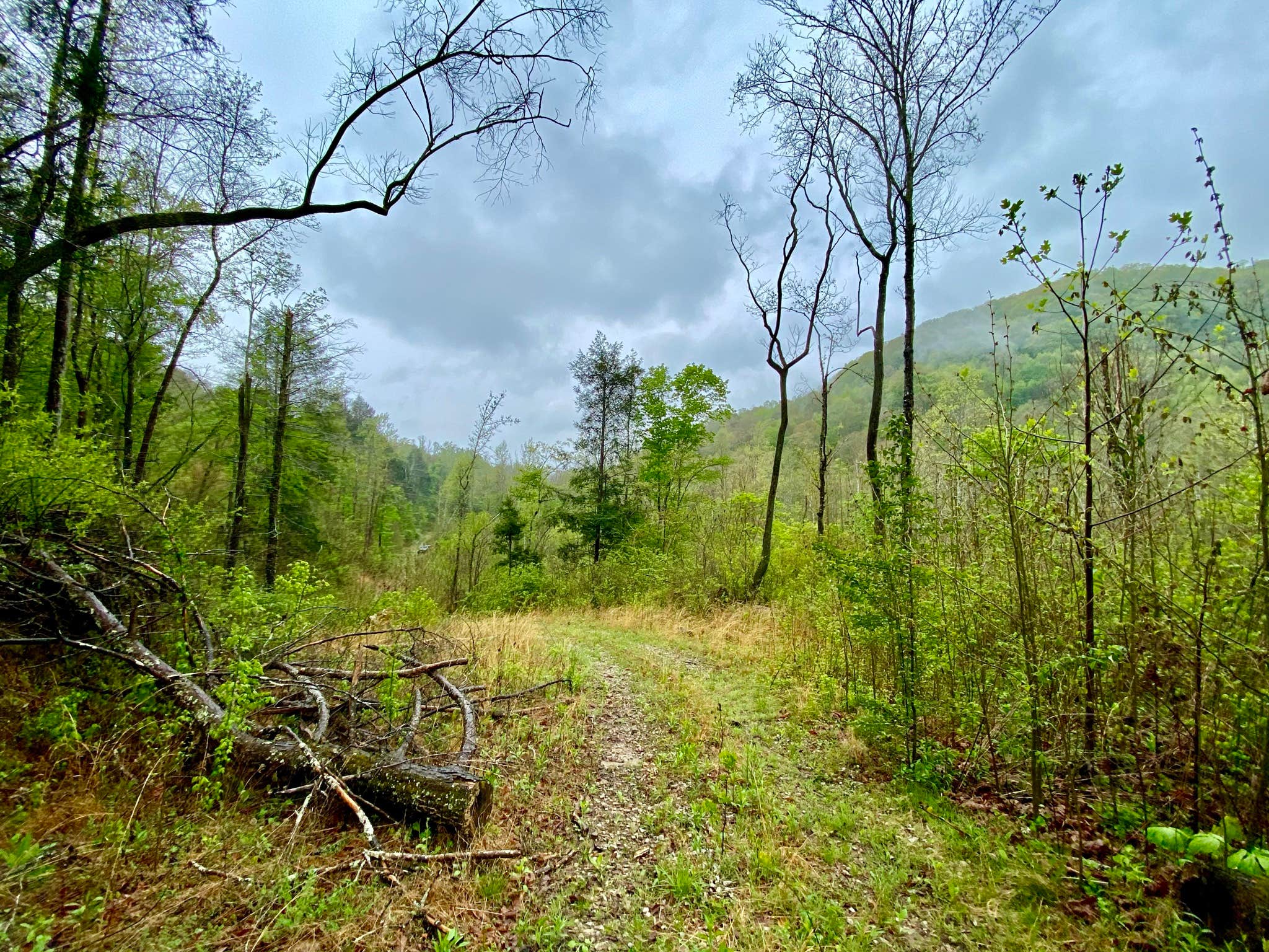 Camper-submitted photo at Windrock Ridge Campground near Clinton, TN