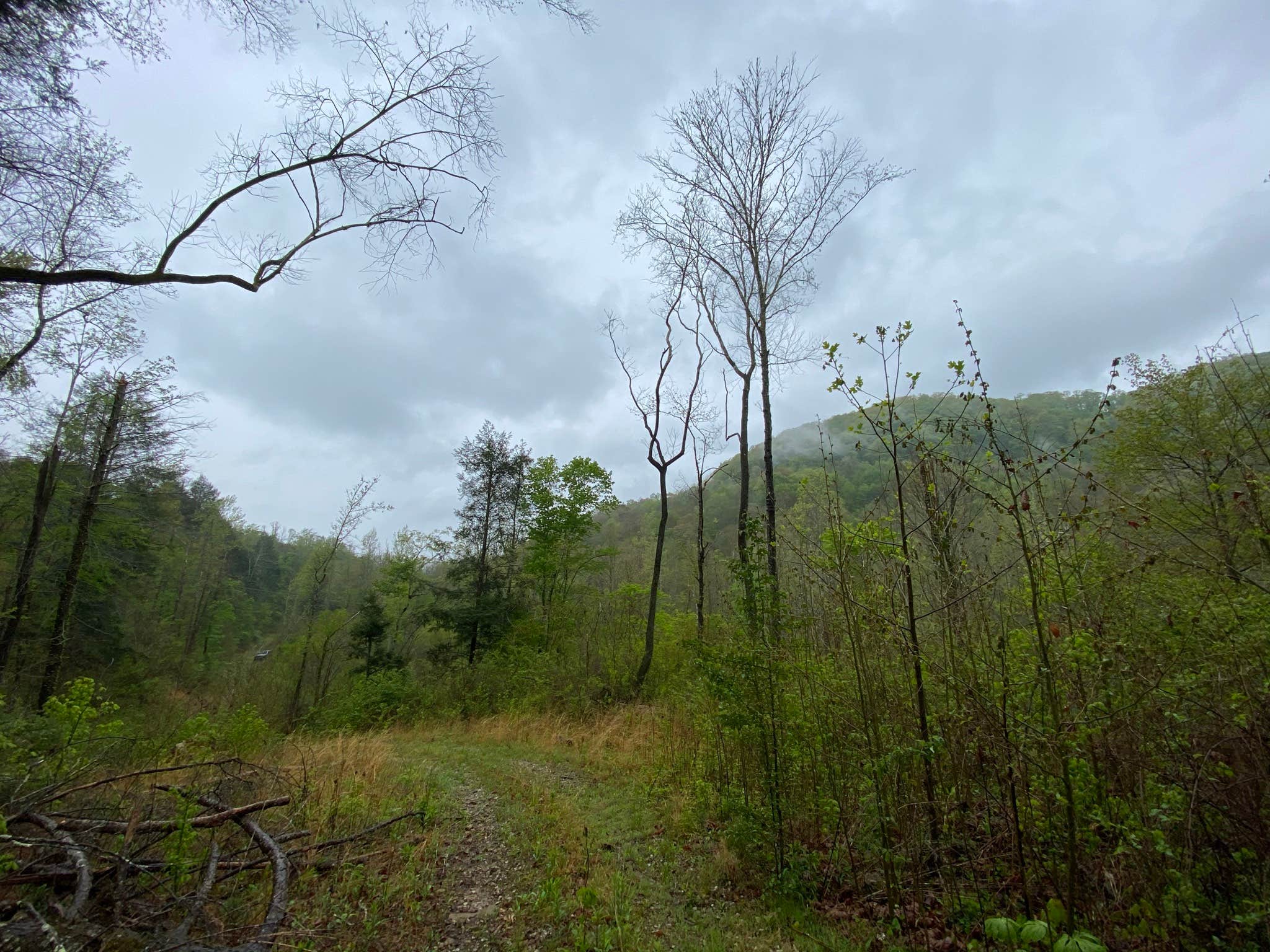 Camper-submitted photo at Windrock Ridge Campground near Clinton, TN
