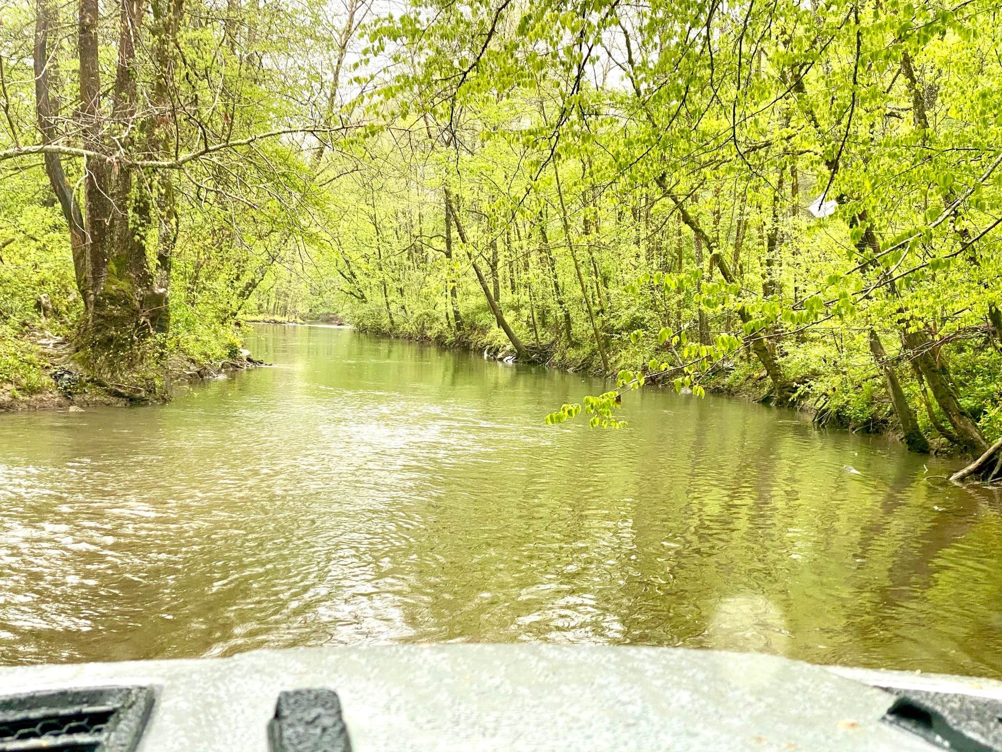 Camper-submitted photo at Windrock Ridge Campground near Clinton, TN