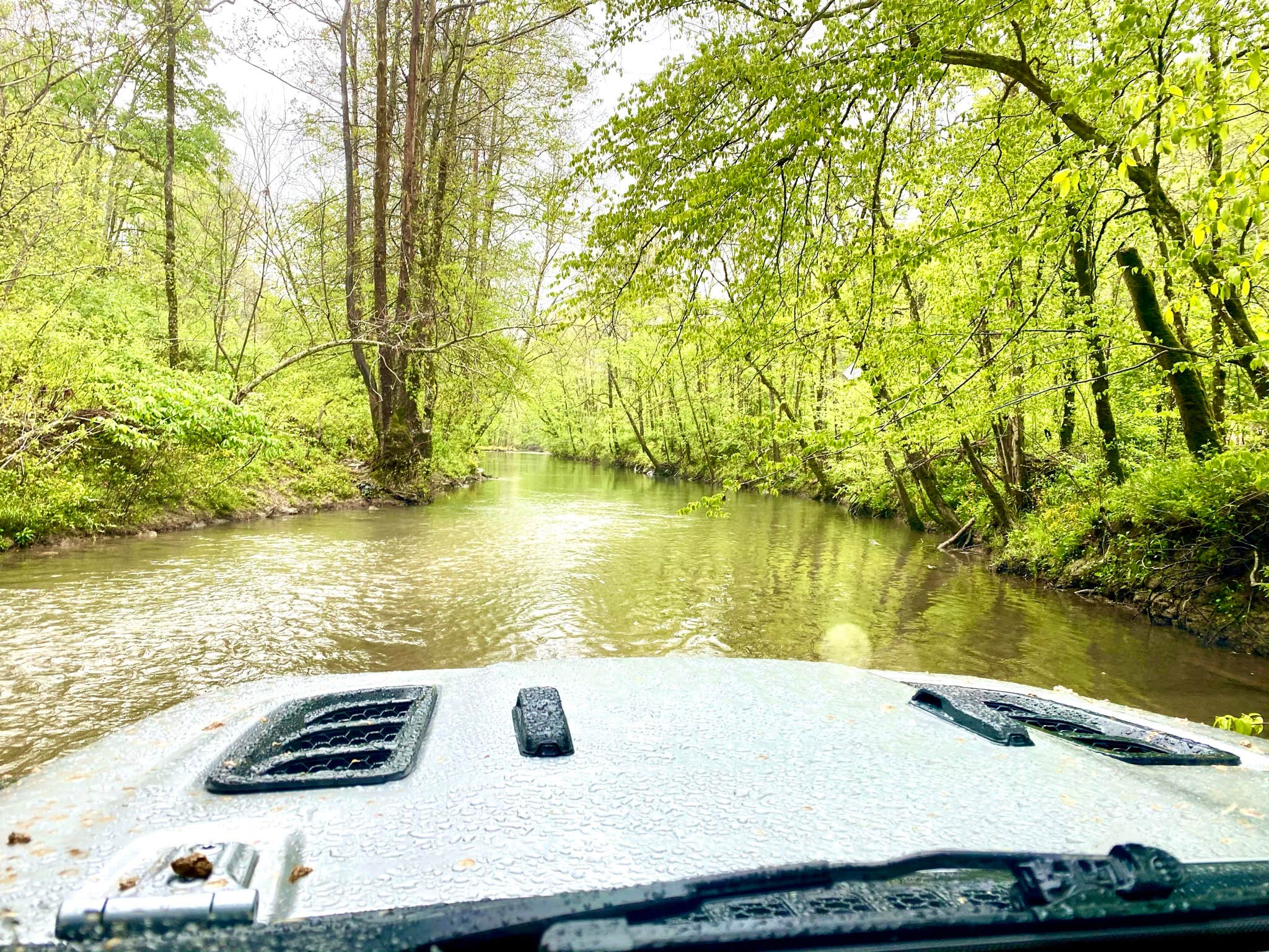 Camper-submitted photo at Windrock Ridge Campground near Clinton, TN