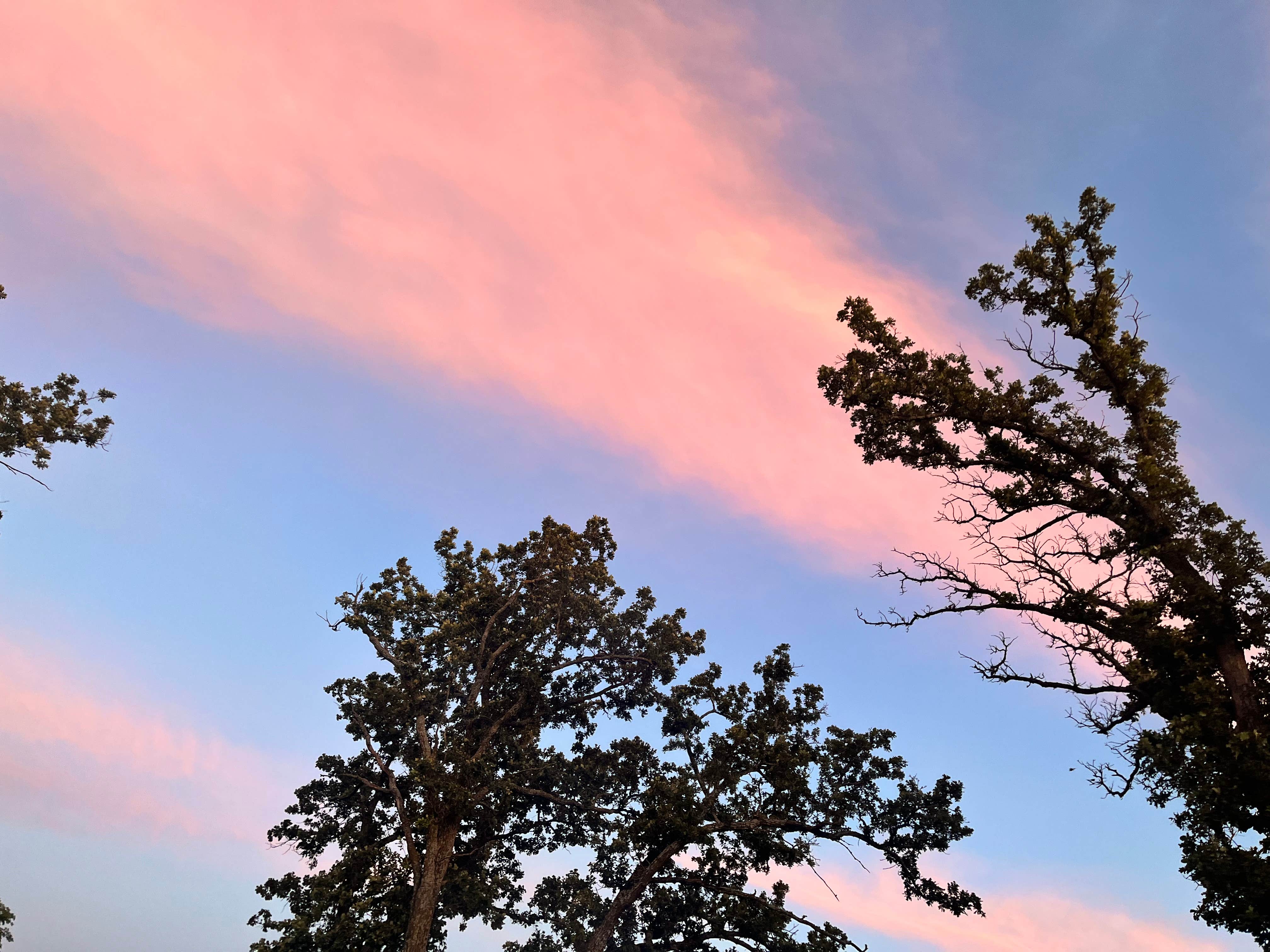 Camper-submitted photo at Silver Lake County Park near Delhi, IA