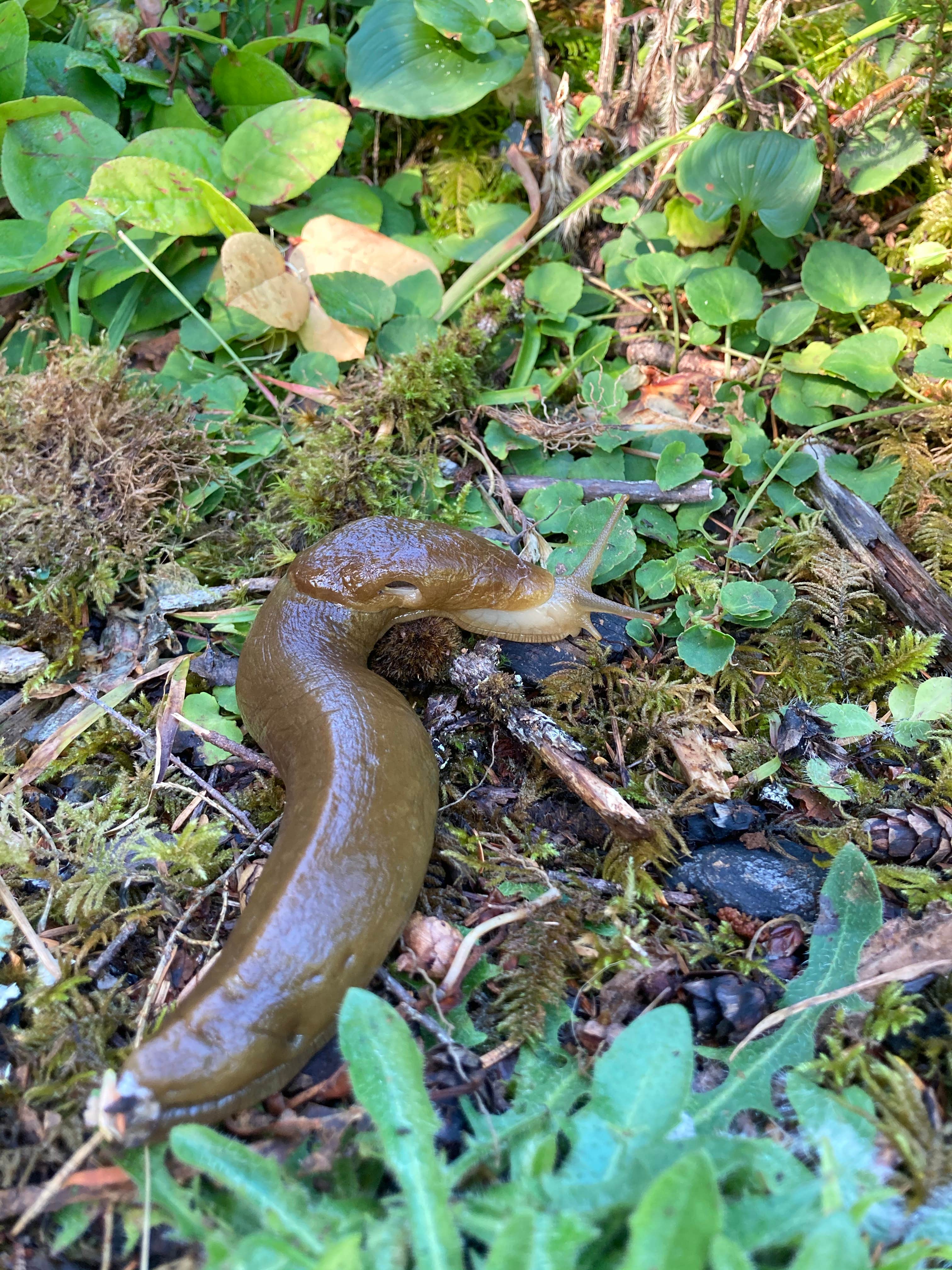 Camper-submitted photo at Dry Lake Horse Camp near Newport, OR