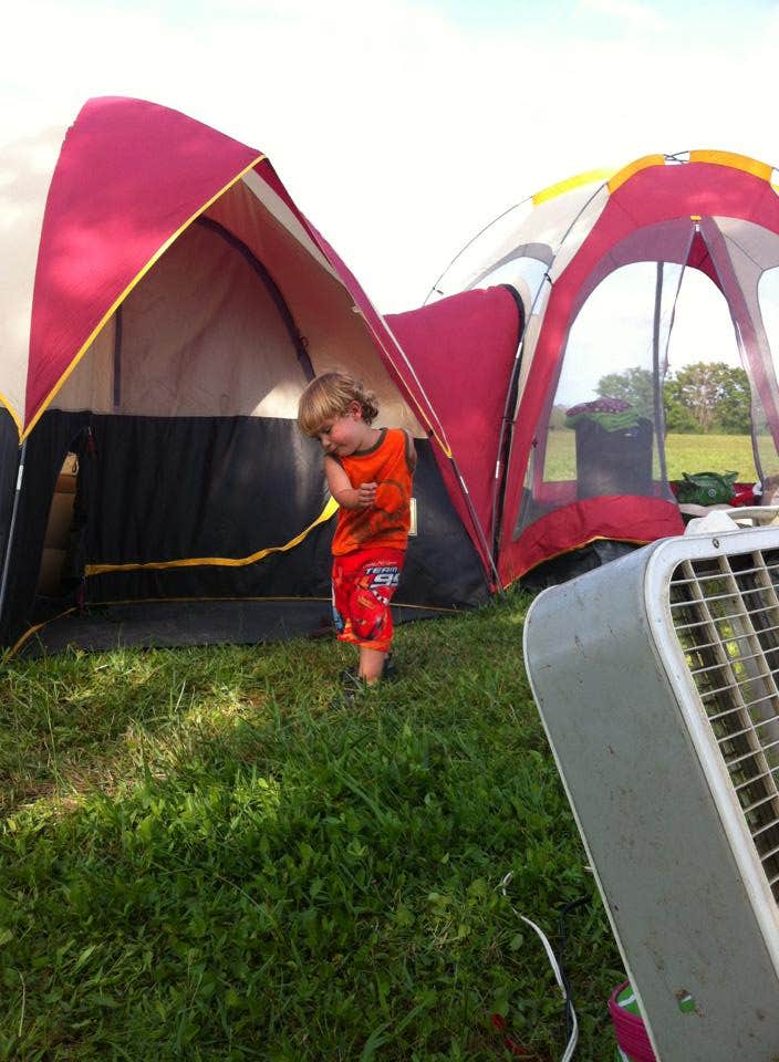 Camper submitted image from Gulf State Park Campground - 4