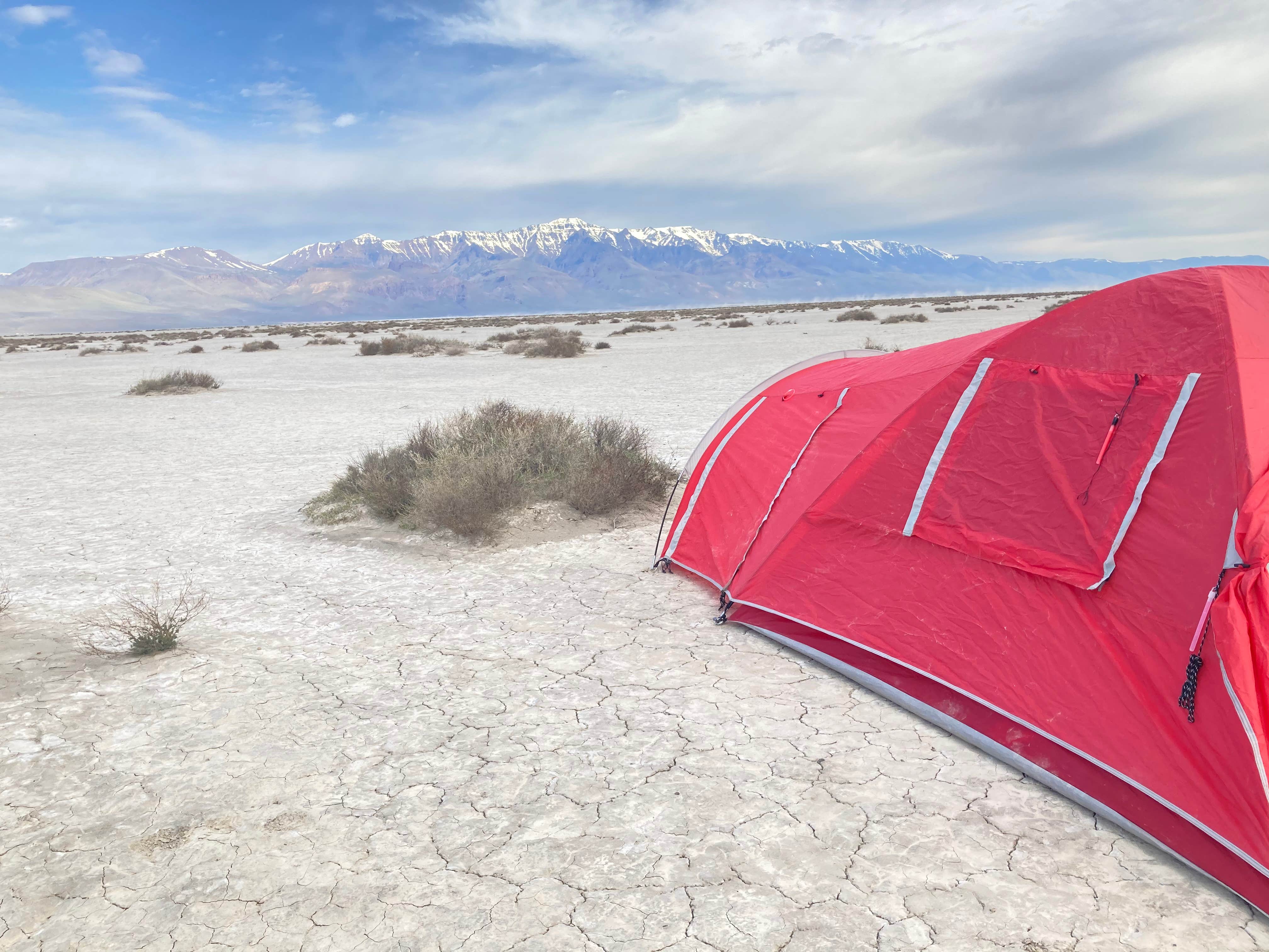 Ash C.'s photo at Alvord Desert near Denio, NV