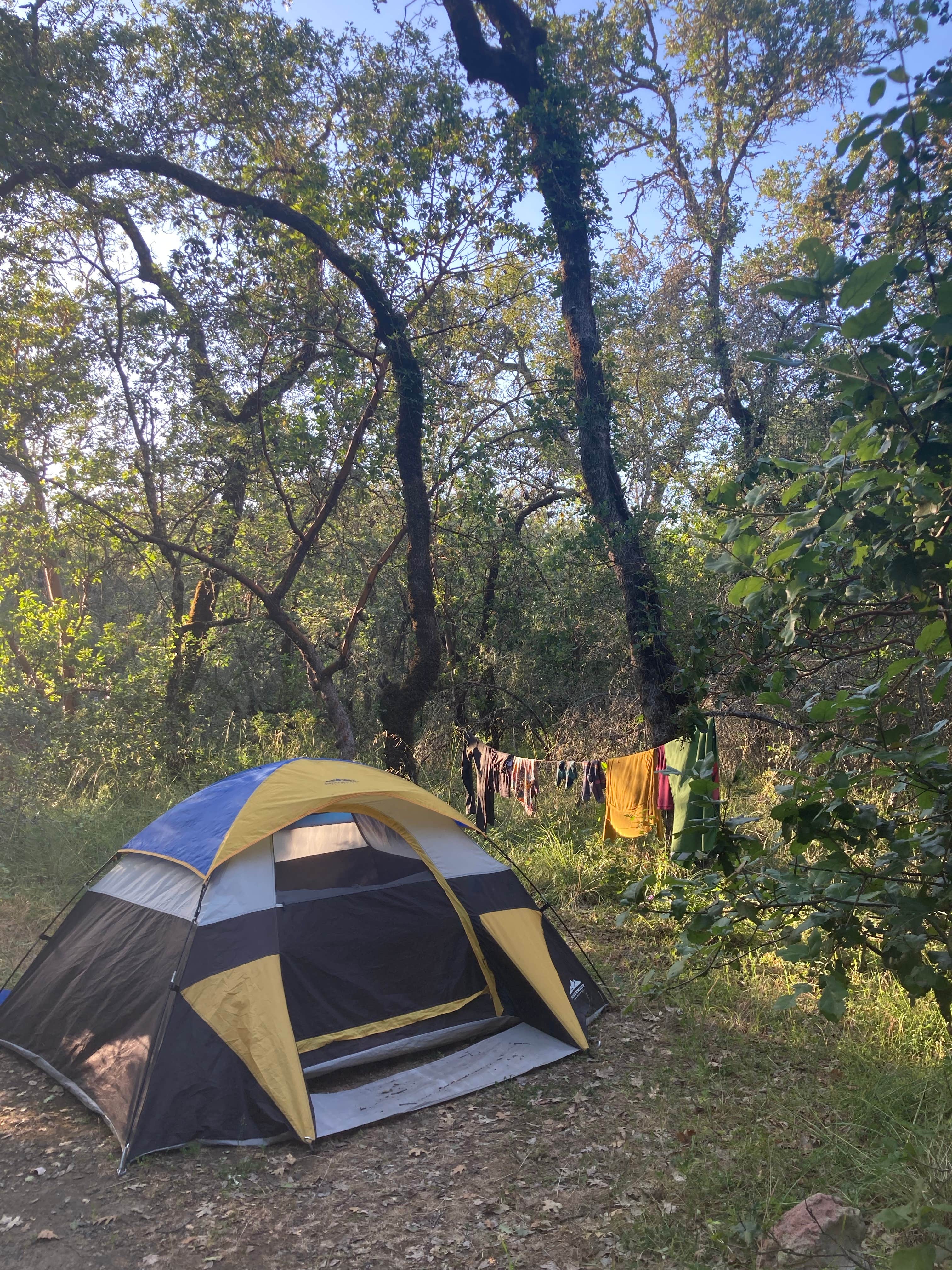 Ash C.'s photo at Ritchey Creek Campground — Bothe-Napa Valley State Park near St. Helena, CA