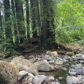 Review photo of Ritchey Creek Campground — Bothe-Napa Valley State Park by Ash C., June 28, 2022