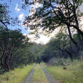 Review photo of Ritchey Creek Campground — Bothe-Napa Valley State Park by Ash C., June 28, 2022