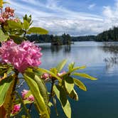 Review photo of Jessie M. Honeyman Memorial State Park Campground by Ash C., June 28, 2022