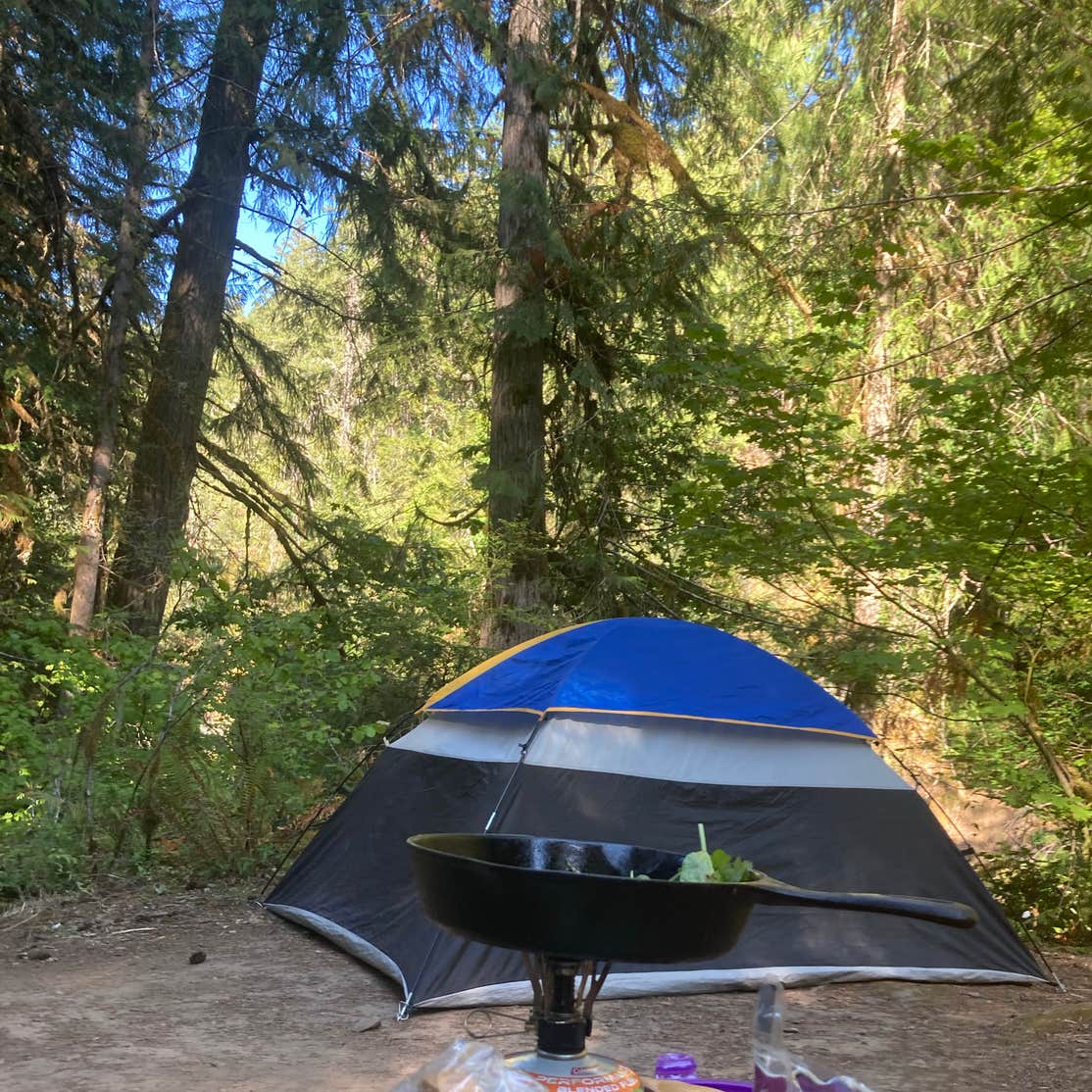 Salmon Creek Falls Campground Oakridge, OR