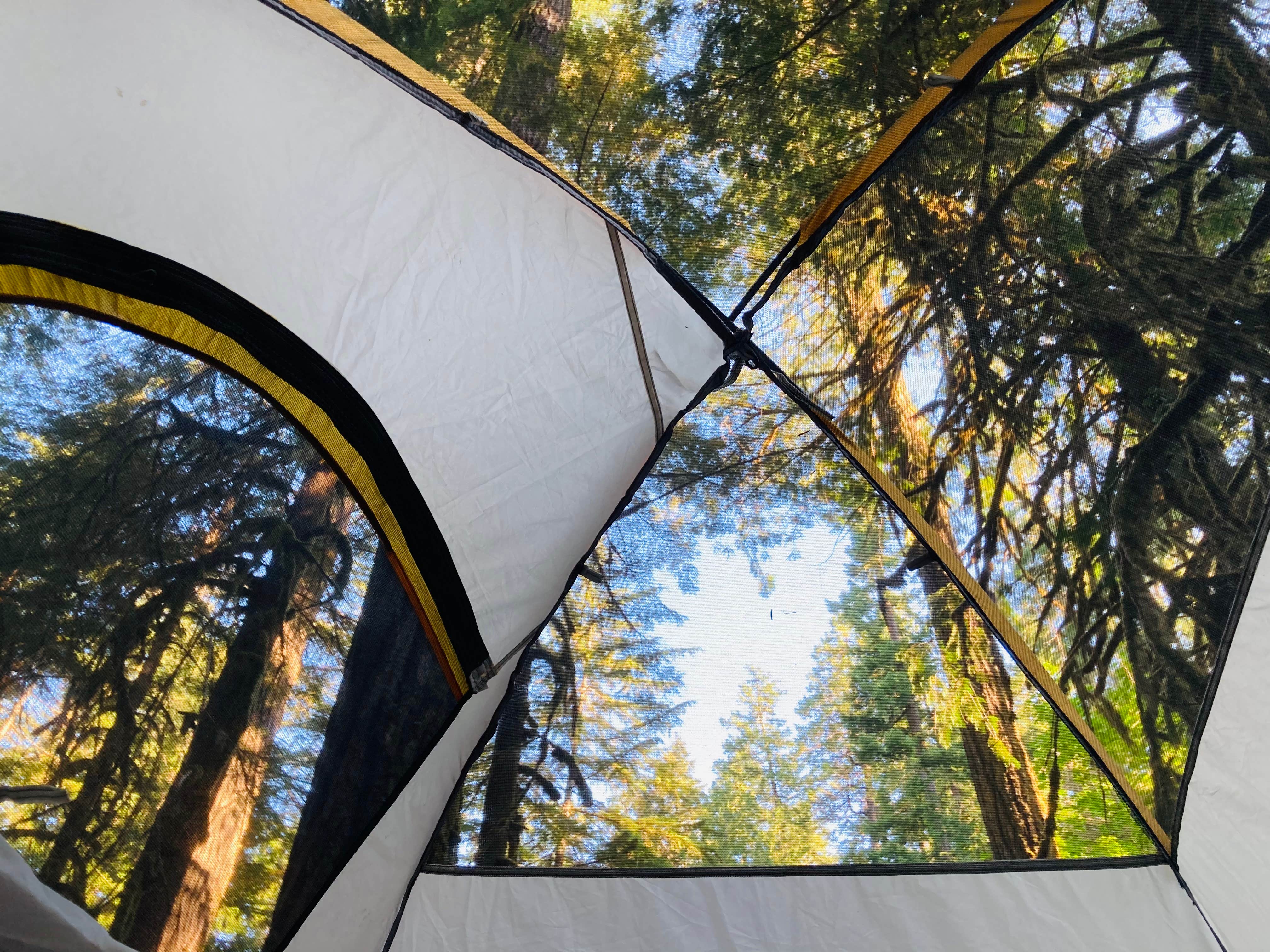 Camping near Black Canyon Campground - Willamette NF: Salmon Creek Falls Campground, Oakridge, Oregon