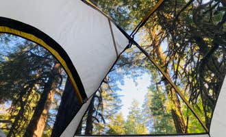 Camping near Timber Butte Cabin: Salmon Creek Falls Campground, Oakridge, Oregon