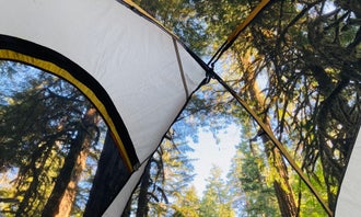 Camping near Hampton Boat Launch: Salmon Creek Falls Campground, Oakridge, Oregon