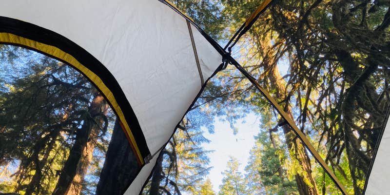 Camper submitted image from Salmon Creek Falls Campground