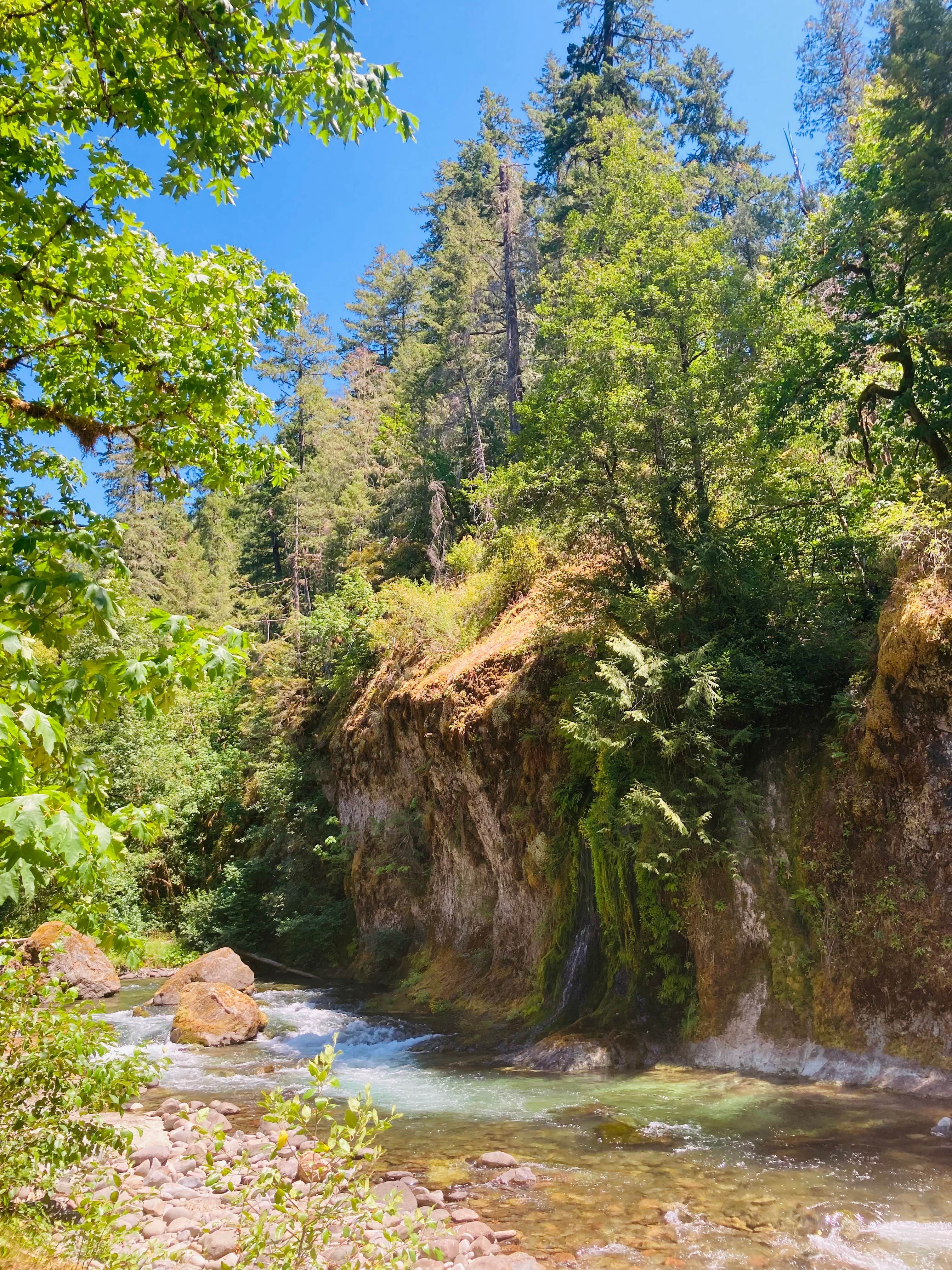 Camper submitted image from Salmon Creek Falls Campground - 2