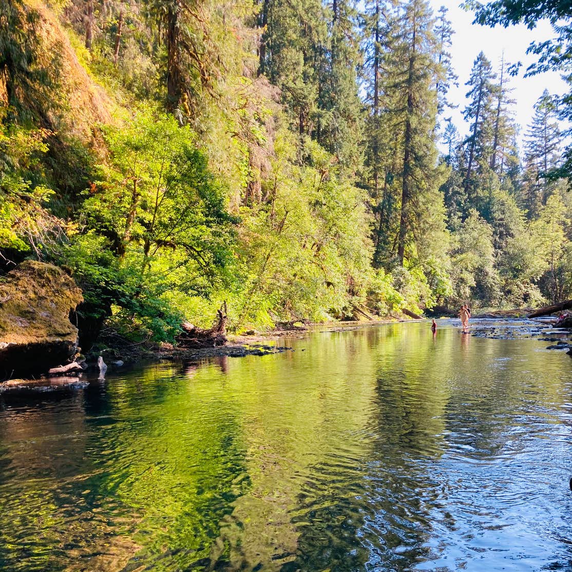 Salmon Creek Falls Campground Oakridge, OR