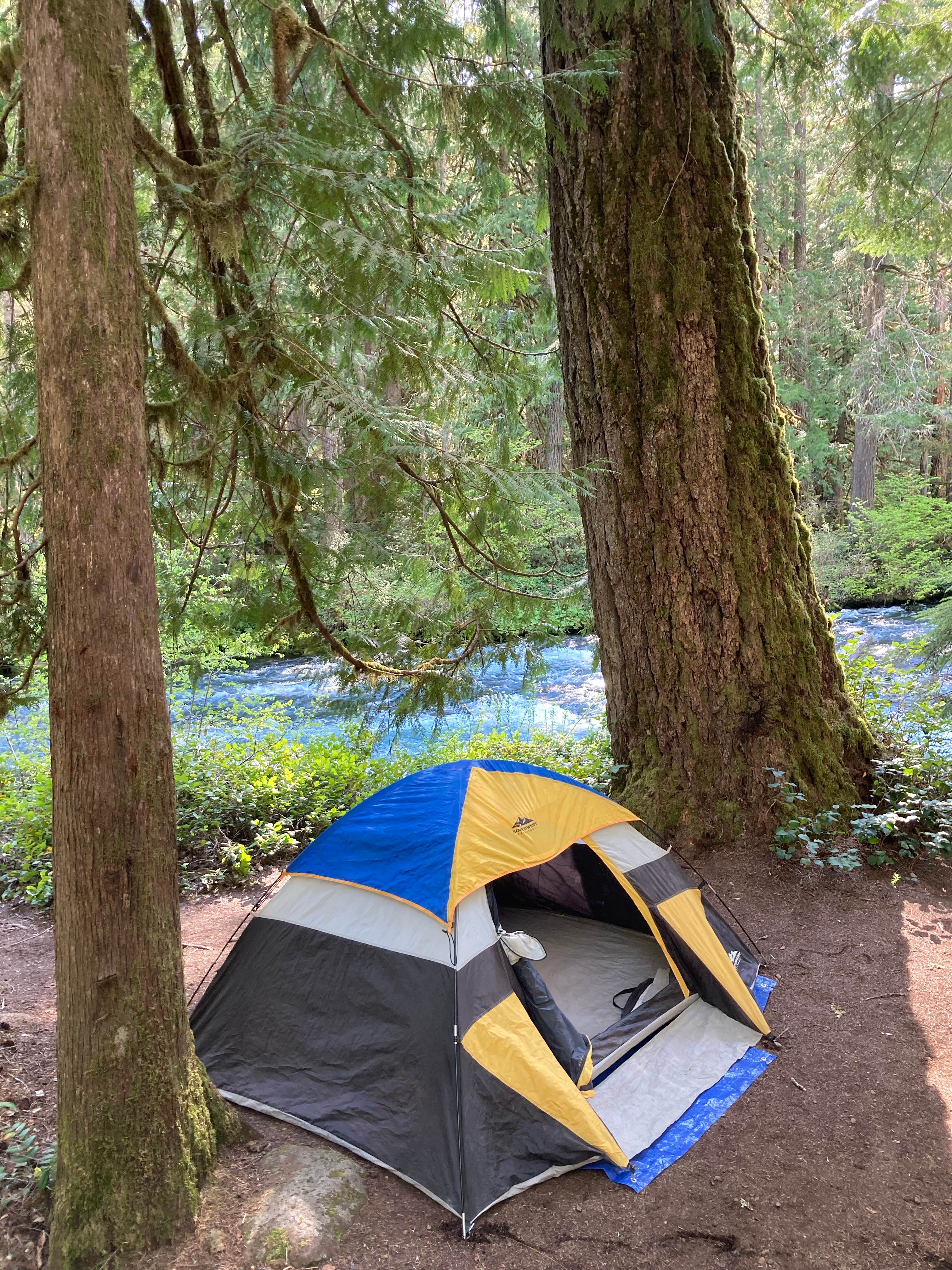 Ash C.'s photo at Olallie Campground near Willamette National Forest