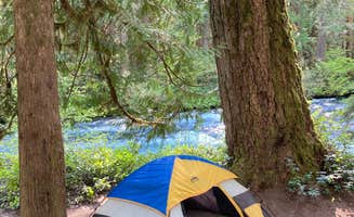 Ash C.'s photo at Olallie Campground near Willamette National Forest