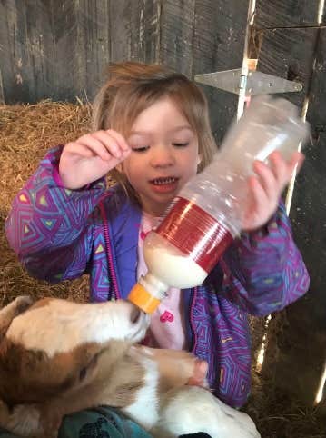 Camper-submitted photo at Howell Cattle Company Retreat near Manchester, OH