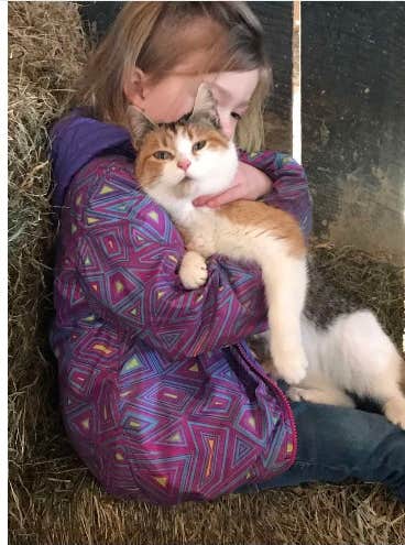 Name's photo of camping with pets at Howell Cattle Company Retreat near Clearfield, KY