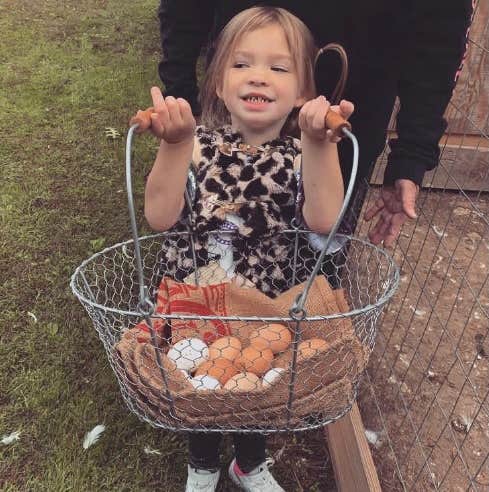 Camper-submitted photo at Howell Cattle Company Retreat near Manchester, OH