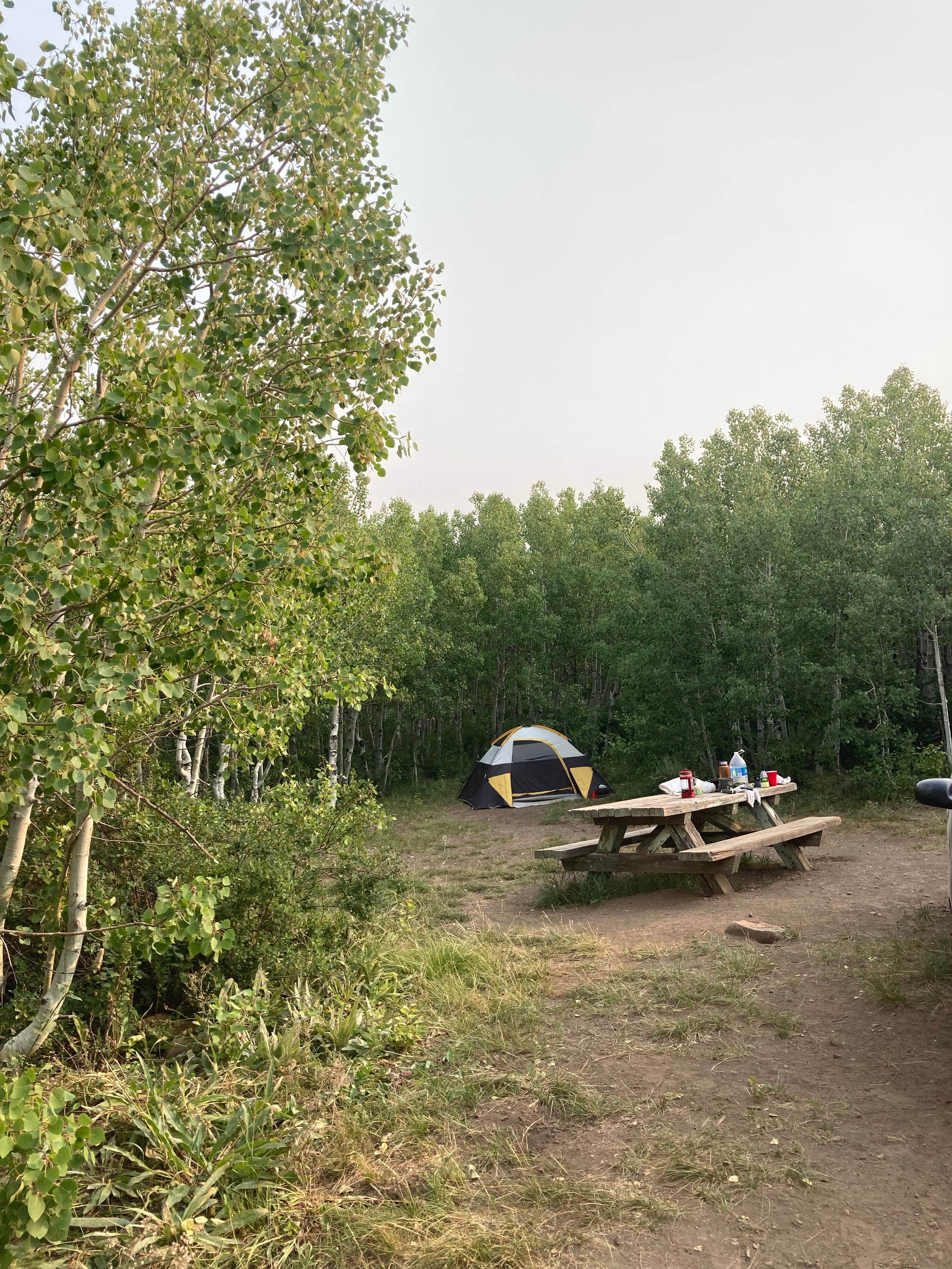 Ash C.'s photo of tent camping at Fish Lake Campground near Oxbow, OR