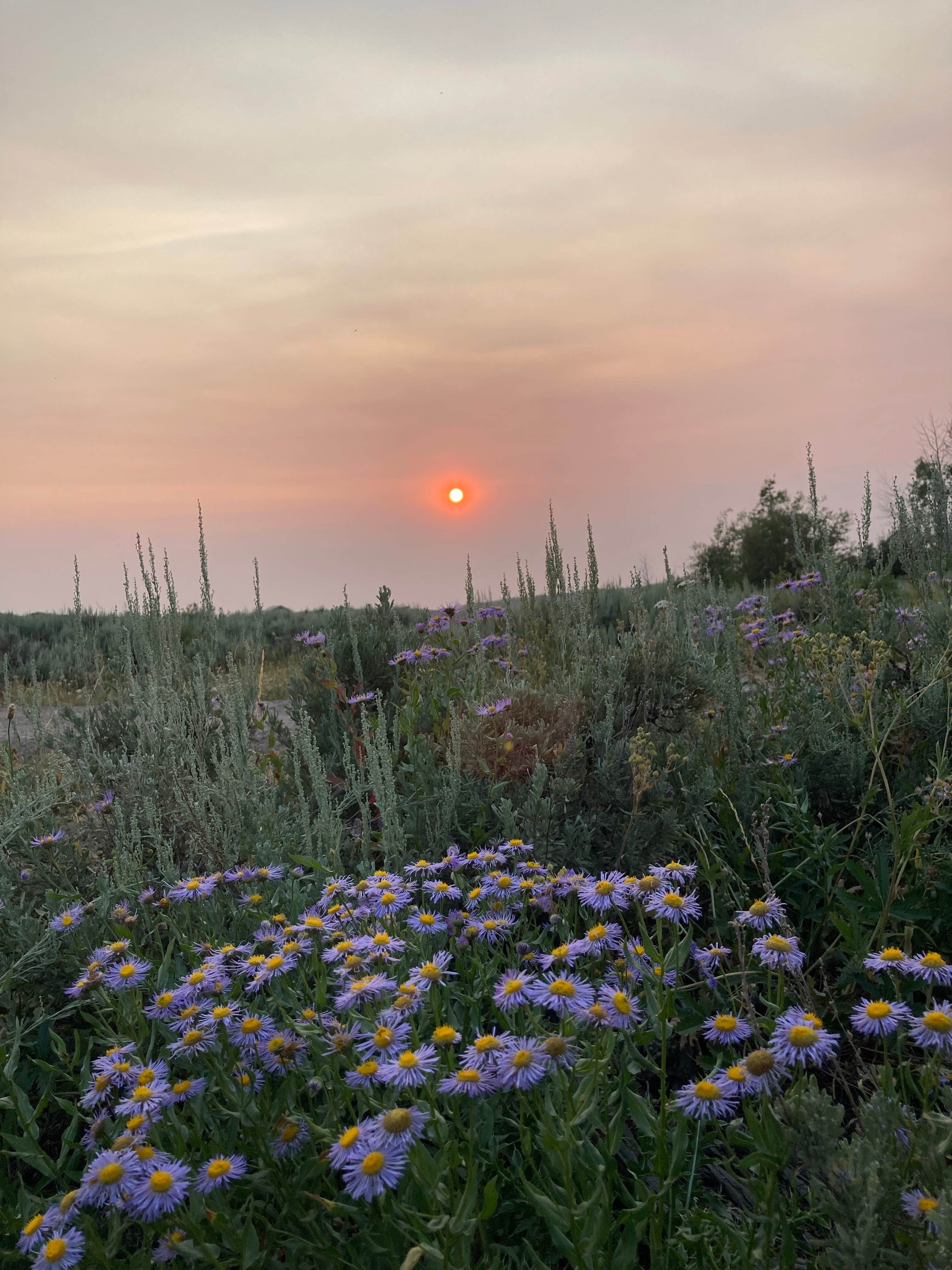 Fish Lake Campground