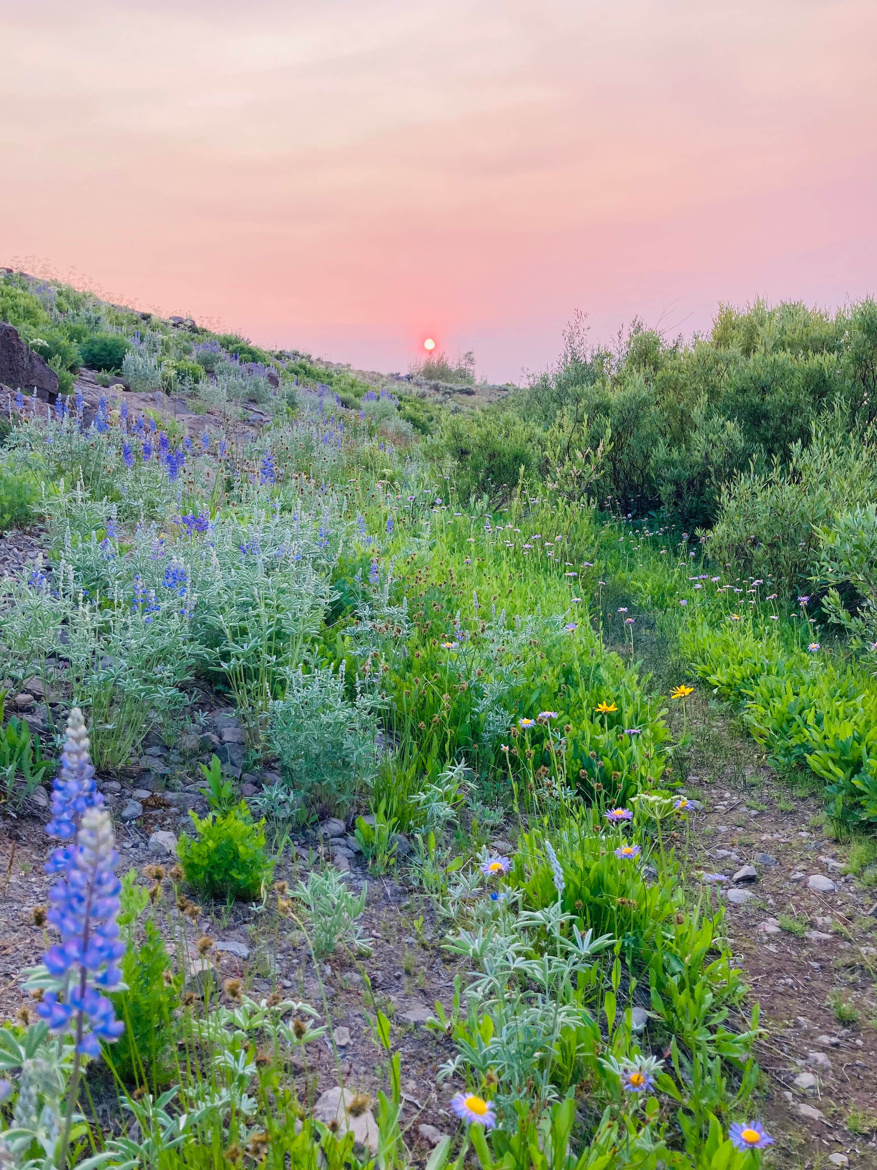 Camper-submitted photo at Fish Lake Campground near Oxbow, OR
