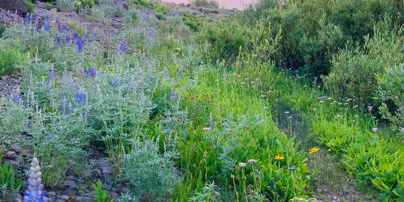 Camper submitted image from Fish Lake Campground