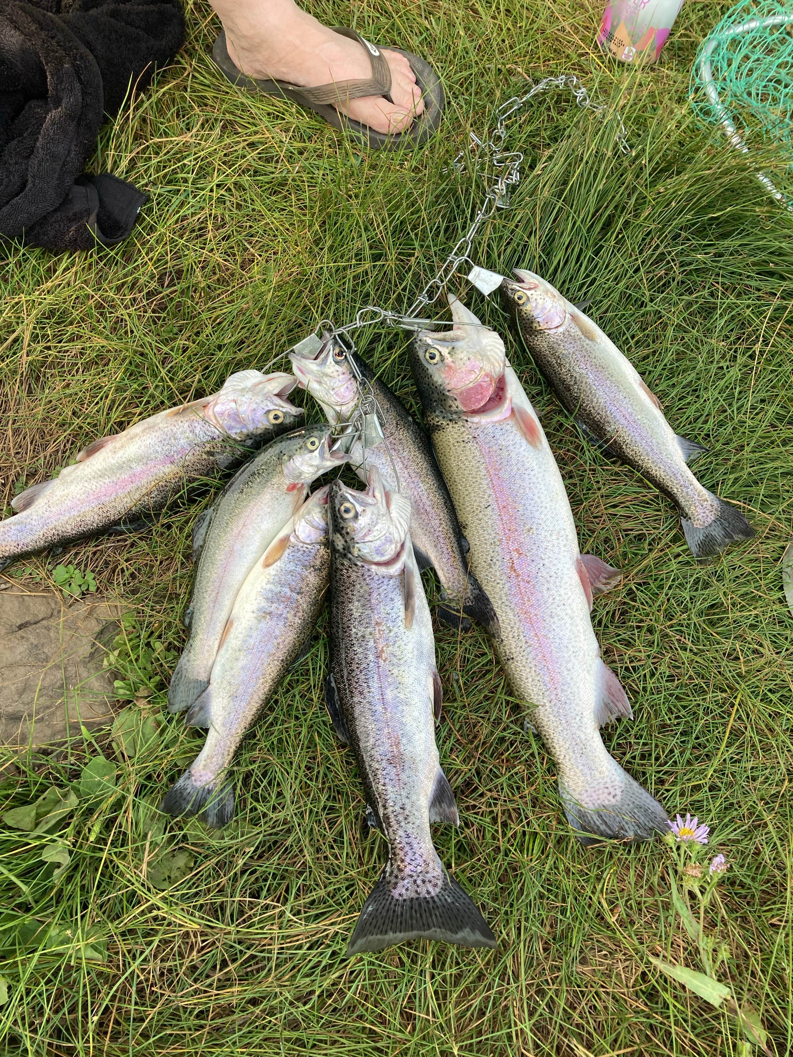 Camper-submitted photo at Fish Lake Campground near Lostine, OR