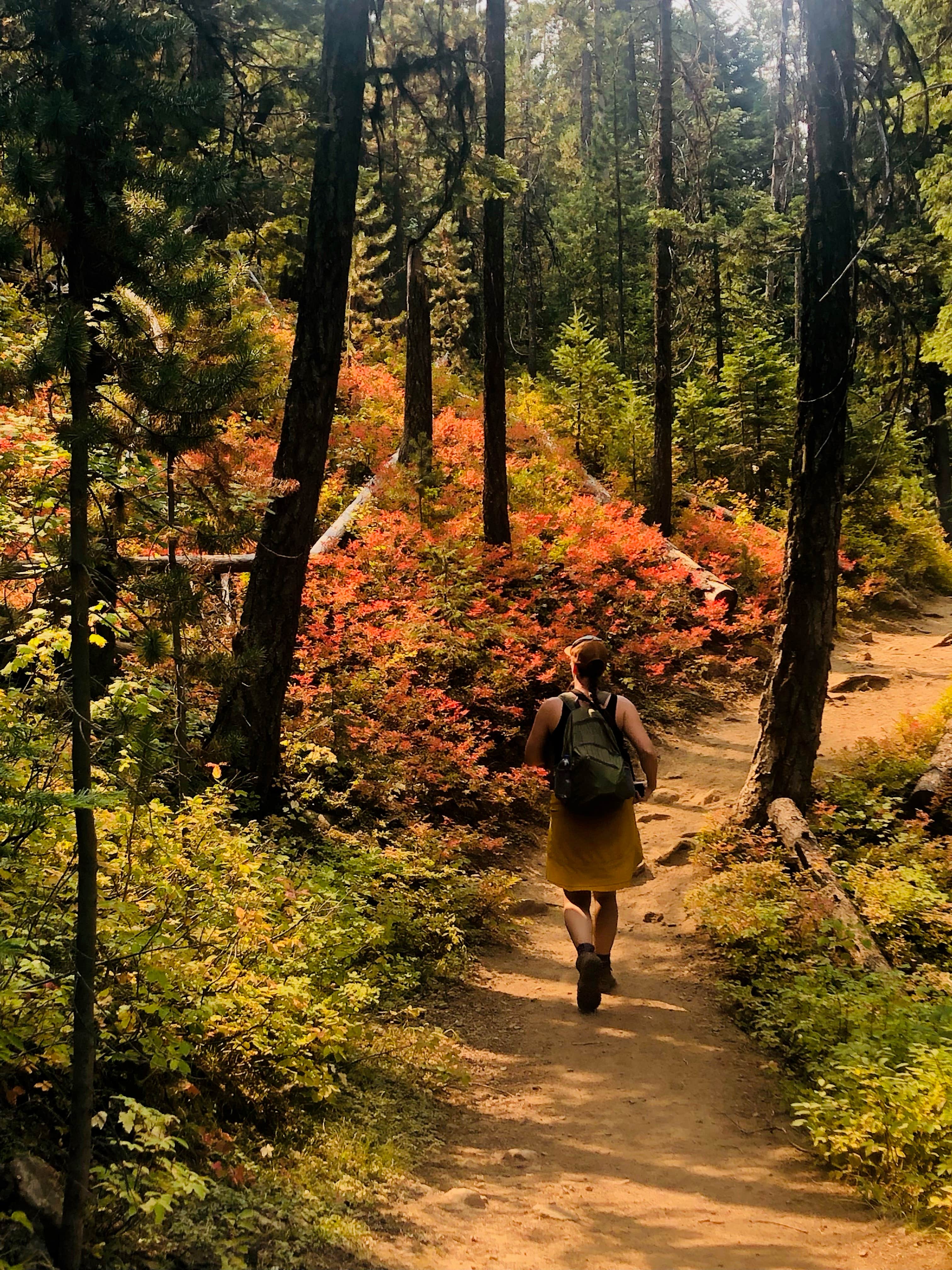 Camper-submitted photo at Strawberry Campground near Malheur National Forest