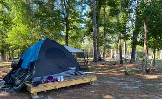 New D.'s photo at Double L Farms Campground near Nichols, SC