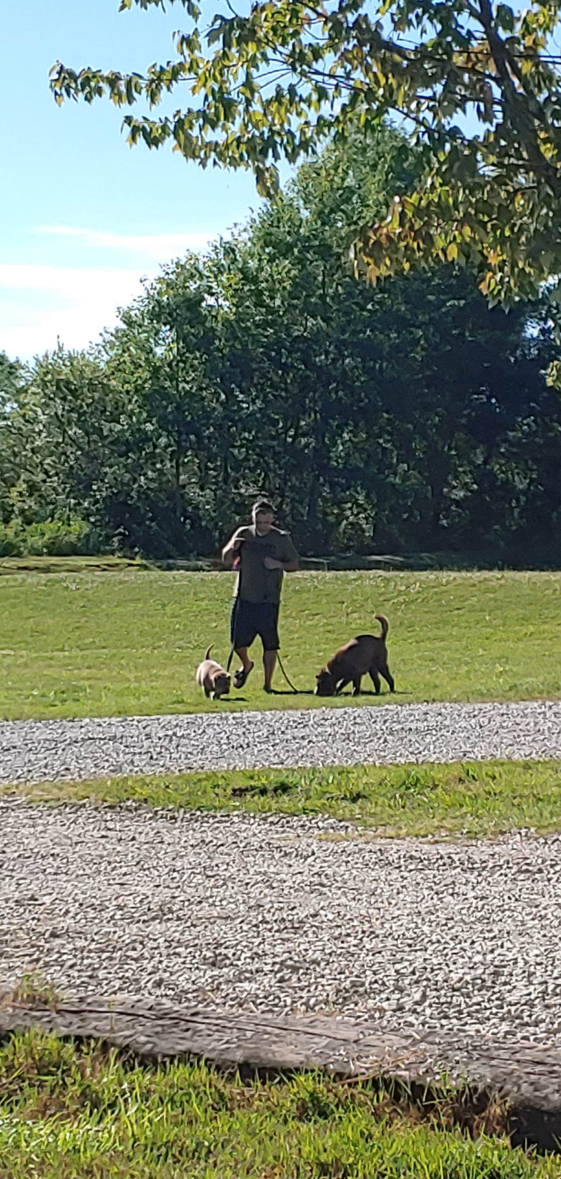 deb K.'s photo of camping with pets at Streetsboro-Cleveland SE KOA near Deerfield, OH