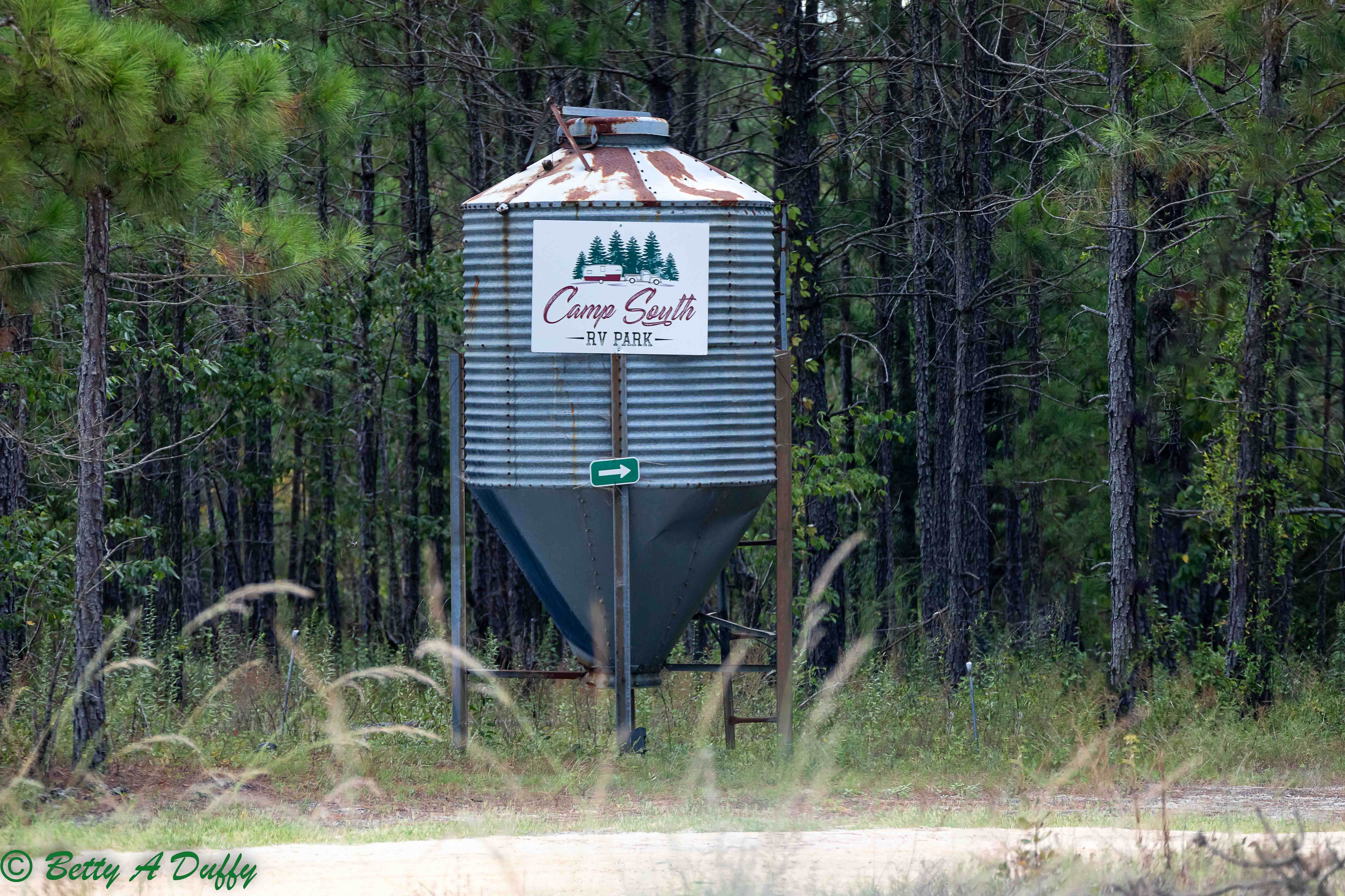 Camper-submitted photo at Camp South RV Park near Rincon, GA