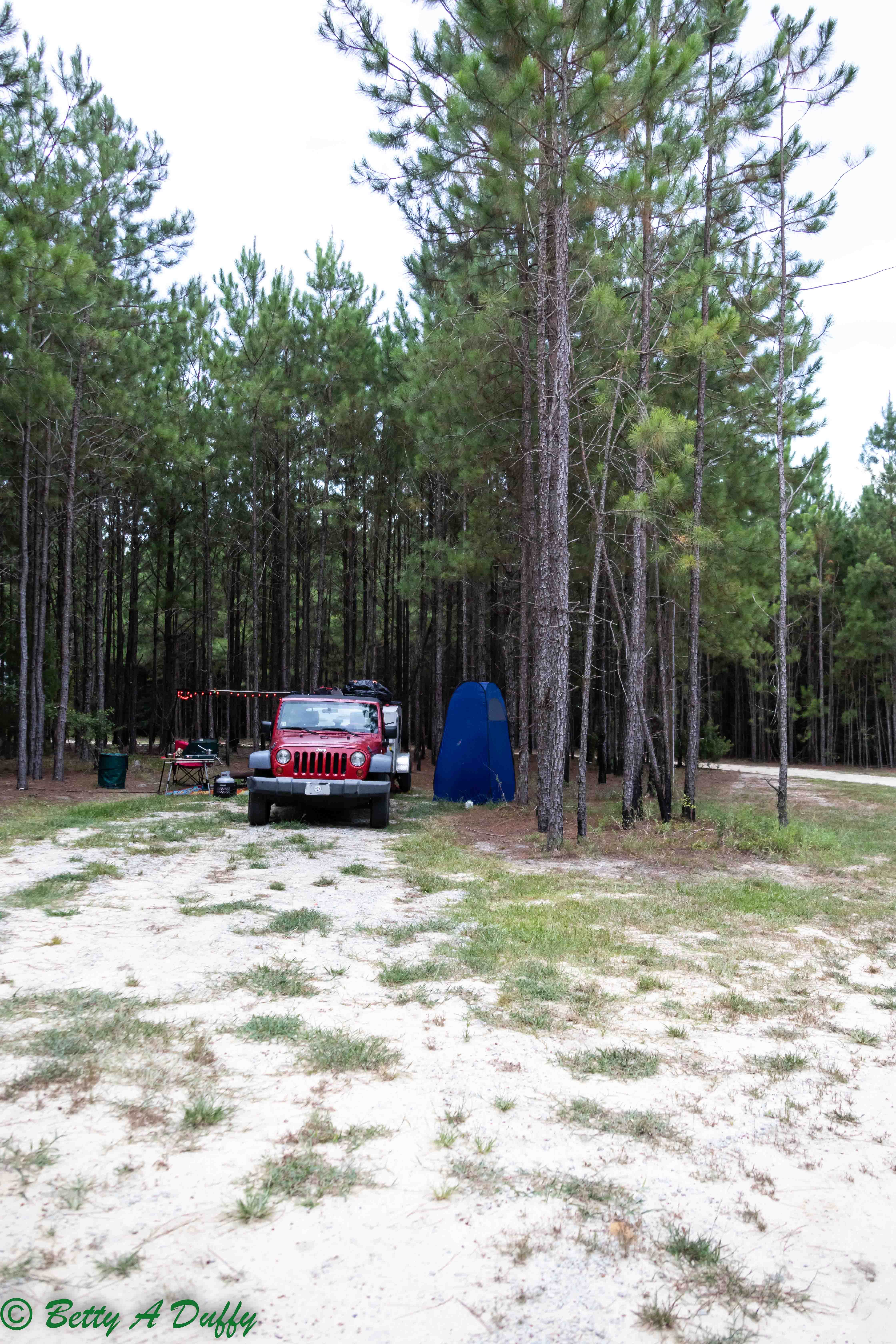 Camper submitted image from Camp South RV Park - 1