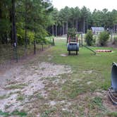 Review photo of Camp South RV Park by Betty D., June 28, 2022