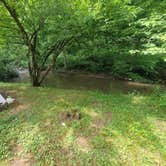 Review photo of Yough Lake Campground at Tub Run by Natalee M., June 28, 2022