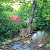 Review photo of Yough Lake Campground at Tub Run by Natalee M., June 28, 2022