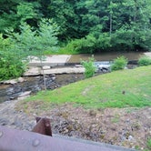 Review photo of Yough Lake Campground at Tub Run by Natalee M., June 28, 2022