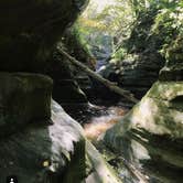Review photo of Starved Rock Campground — Starved Rock State Park by Amanda W., July 17, 2018