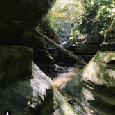 Review photo of Starved Rock by Amanda W., July 17, 2018