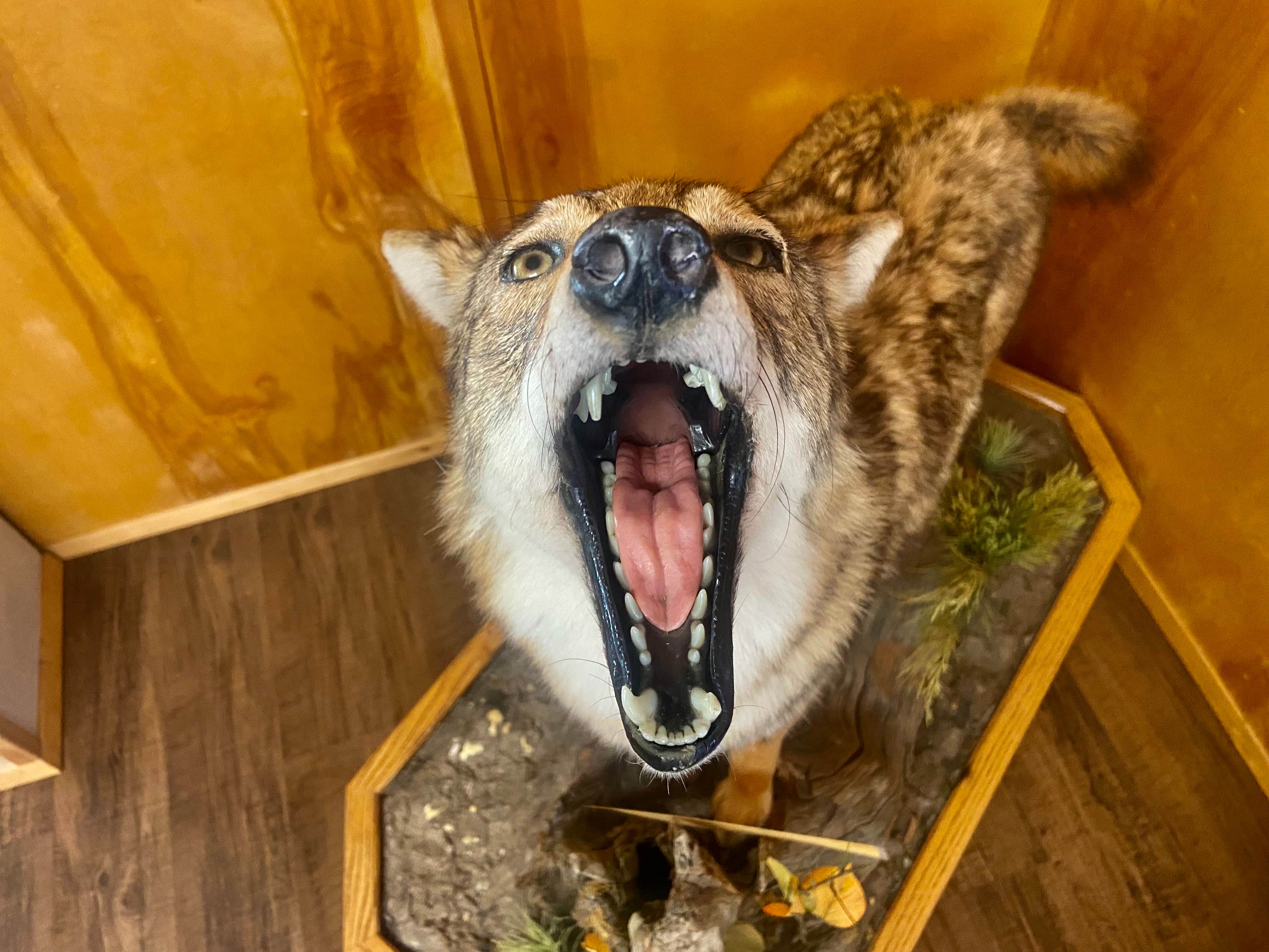 Camper-submitted photo at Riverbend Campground near Orting, WA