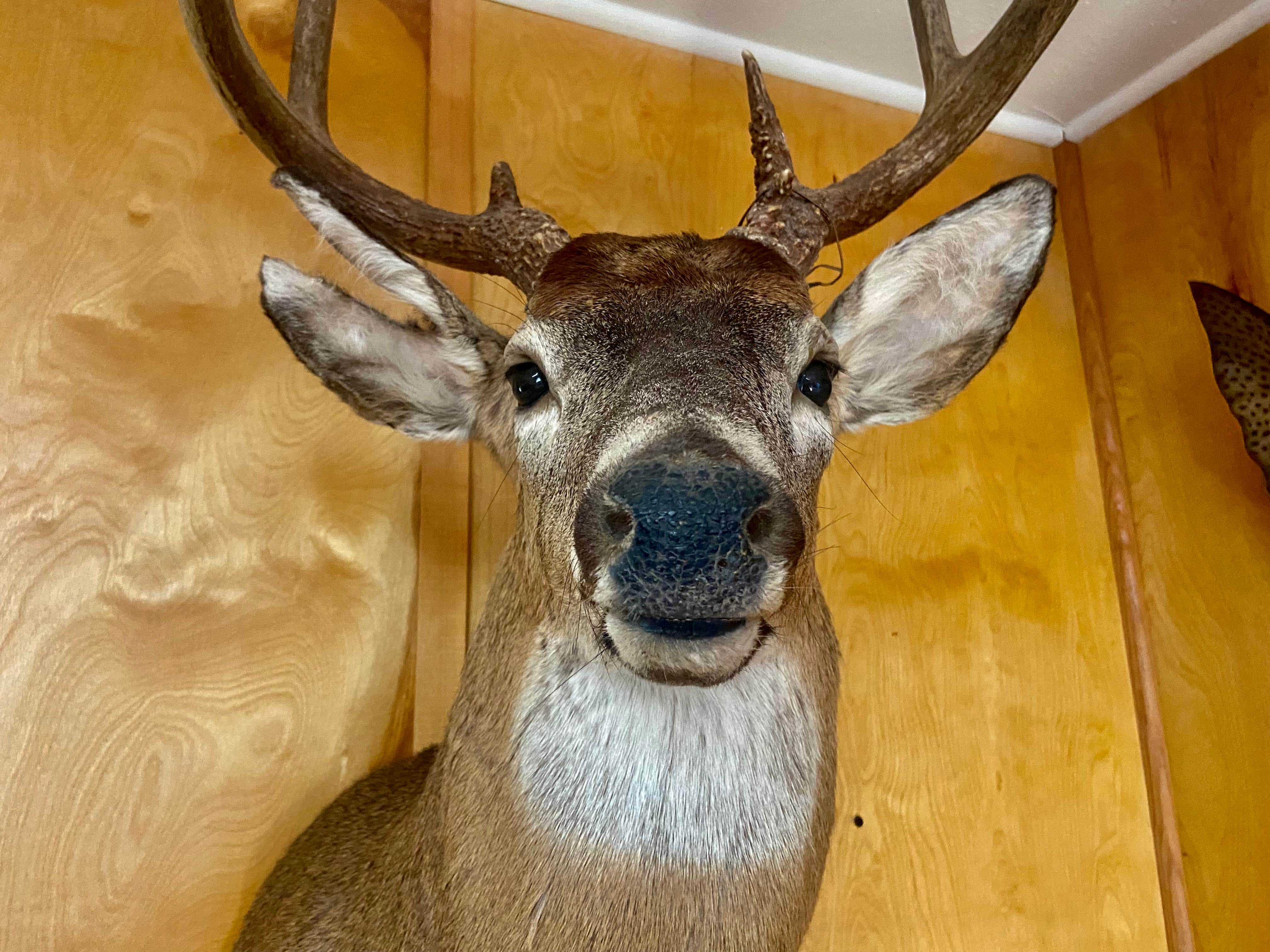 Camper-submitted photo at Riverbend Campground near Orting, WA