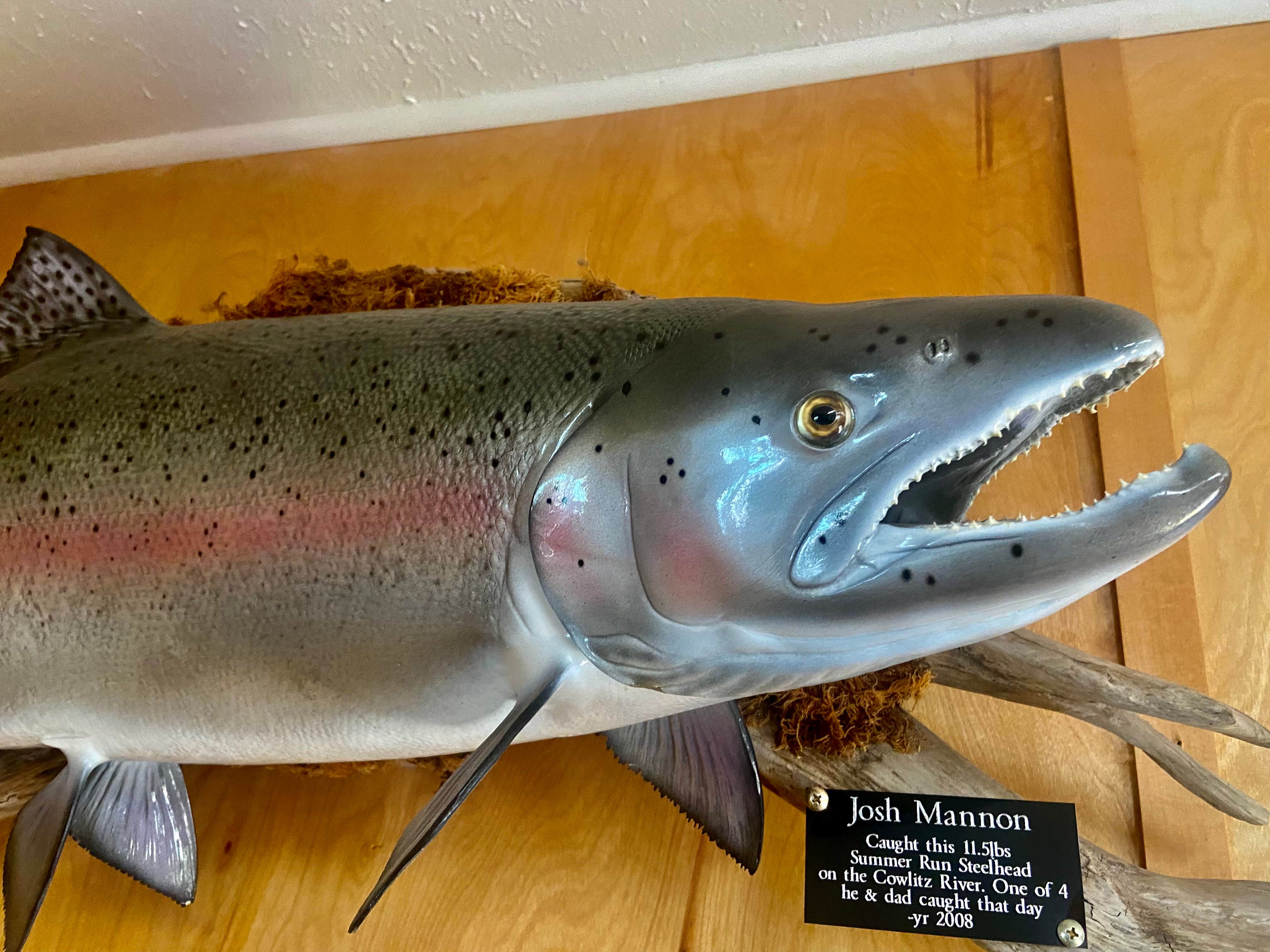 Camper-submitted photo at Riverbend Campground near Orting, WA