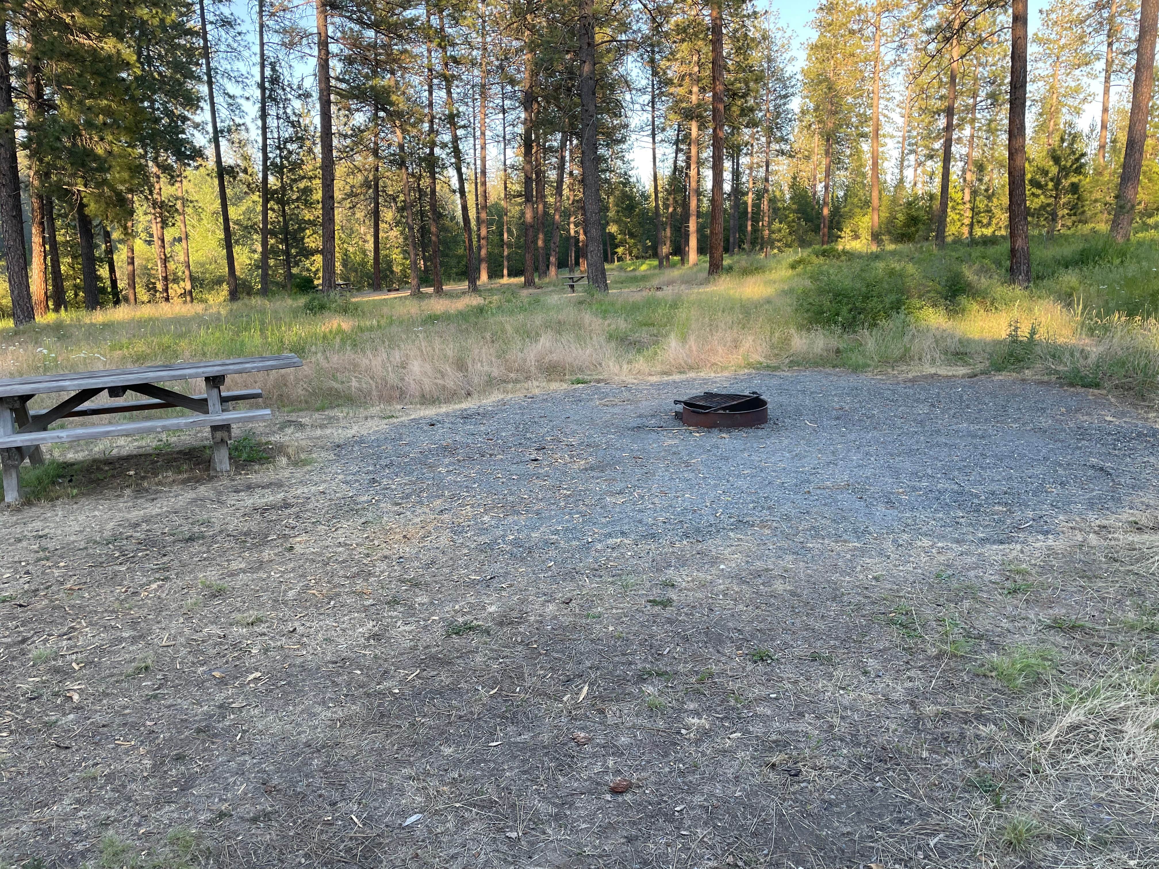 Camper submitted image from Dragoon Creek Campground - 5