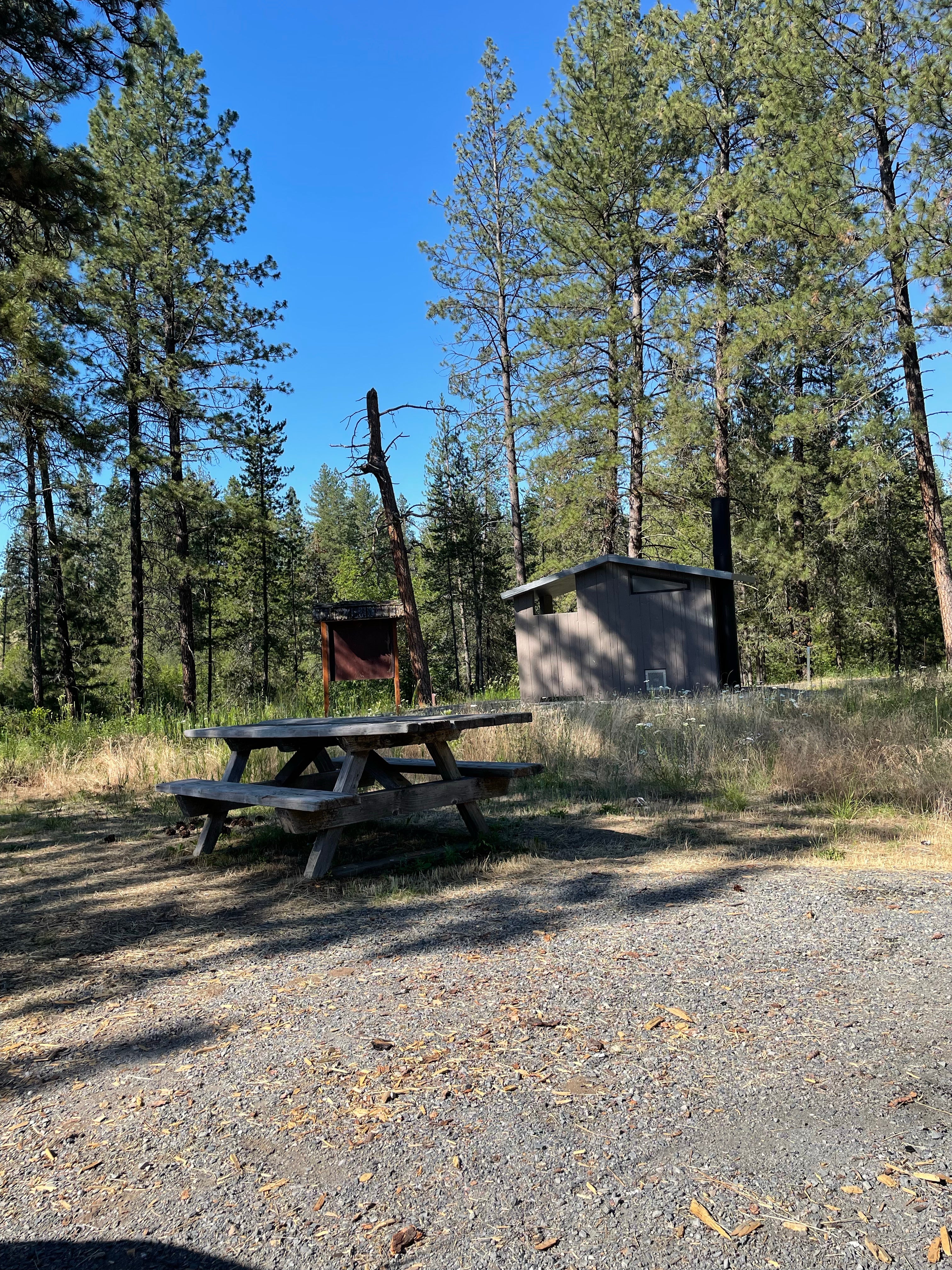 Camper submitted image from Dragoon Creek Campground - 4