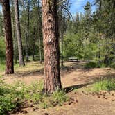 Review photo of Dragoon Creek Campground by Abby M., June 29, 2022