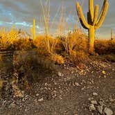 Review photo of Twin Peaks Campground — Organ Pipe Cactus National Monument by LoneCamper C., June 29, 2022