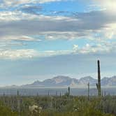 Review photo of Twin Peaks Campground — Organ Pipe Cactus National Monument by LoneCamper C., June 29, 2022