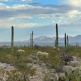 Review photo of Twin Peaks Campground — Organ Pipe Cactus National Monument by LoneCamper C., June 29, 2022